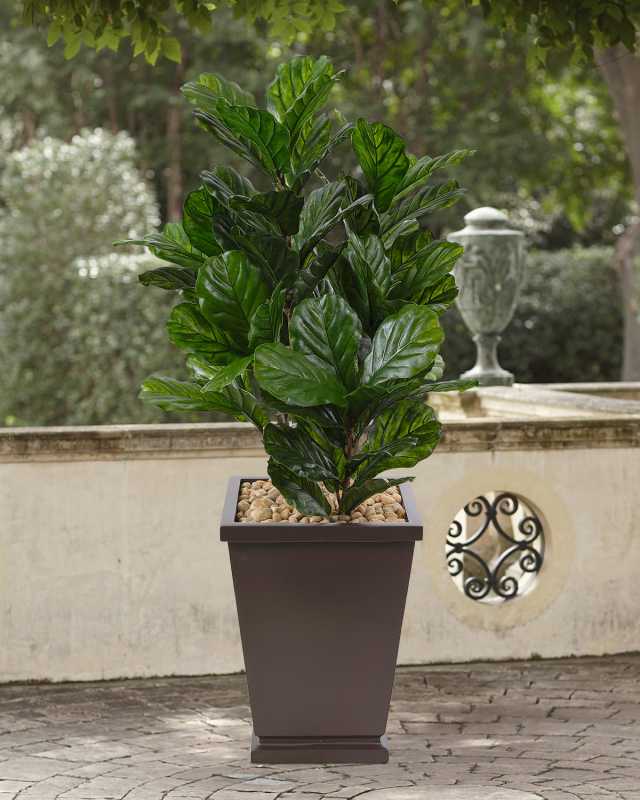 Faux Fiddle Leaf In Tapered Brown Square, 62"T